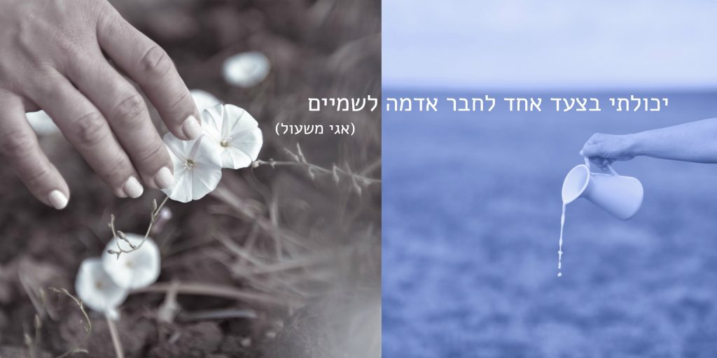 כד חלב בשדה כחול וידיים נוגעו בפרחים לבנים. צילום: טלי רצקר. מתוך הפוסט חיבוק של אדמה בבלוג של תמרי סלונים ליבס tamariandme.com